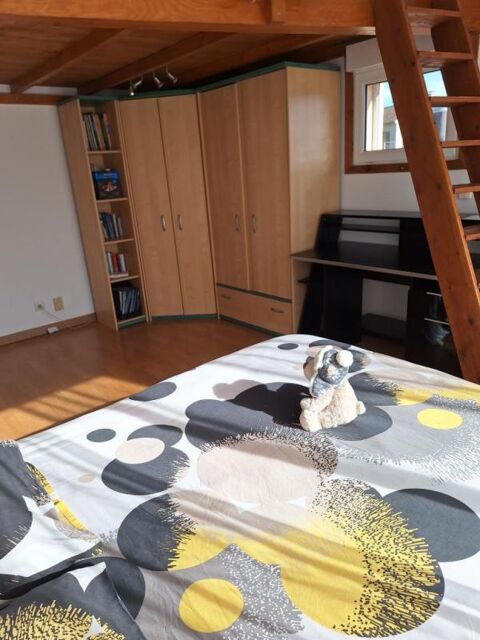  Appartement  louer 1 pice 15 m