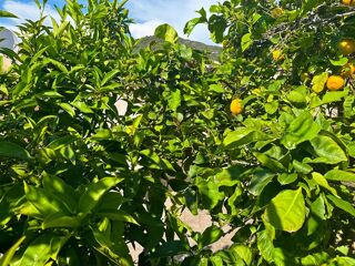  Maison � vendre 3 pi�ces 120 m�