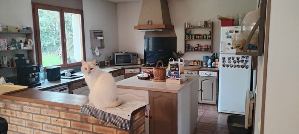 Maison à vendre 5 pièces BELLOT (77)