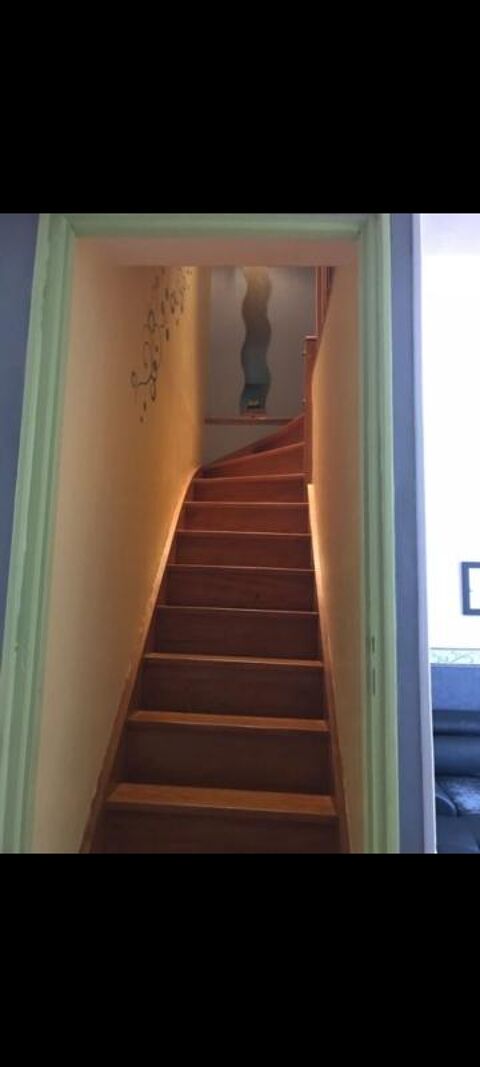  Appartement � louer 3 pi�ces 55 m�