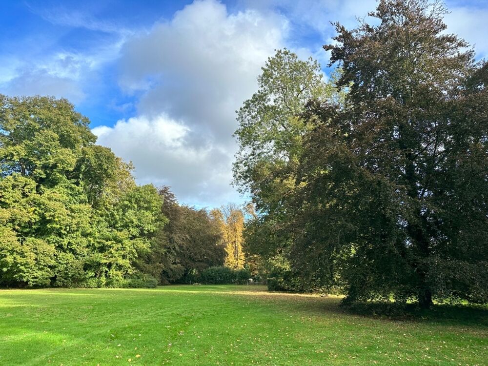 à vendre  Propriété/château Saint-Ouen-de-Thouberville (27310)