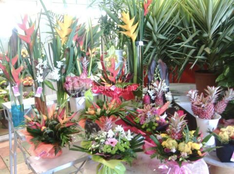 Boutique Fleuriste, emplacement Premium, zone commerciale proche Perpignan 340000 66330 Cabestany