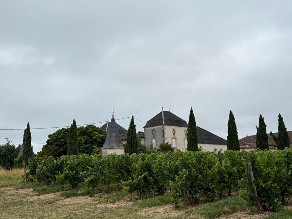 Château confidentiel à Massugas, dominant les côteaux, entre Pellegrue et Sauveterre de Guyenne