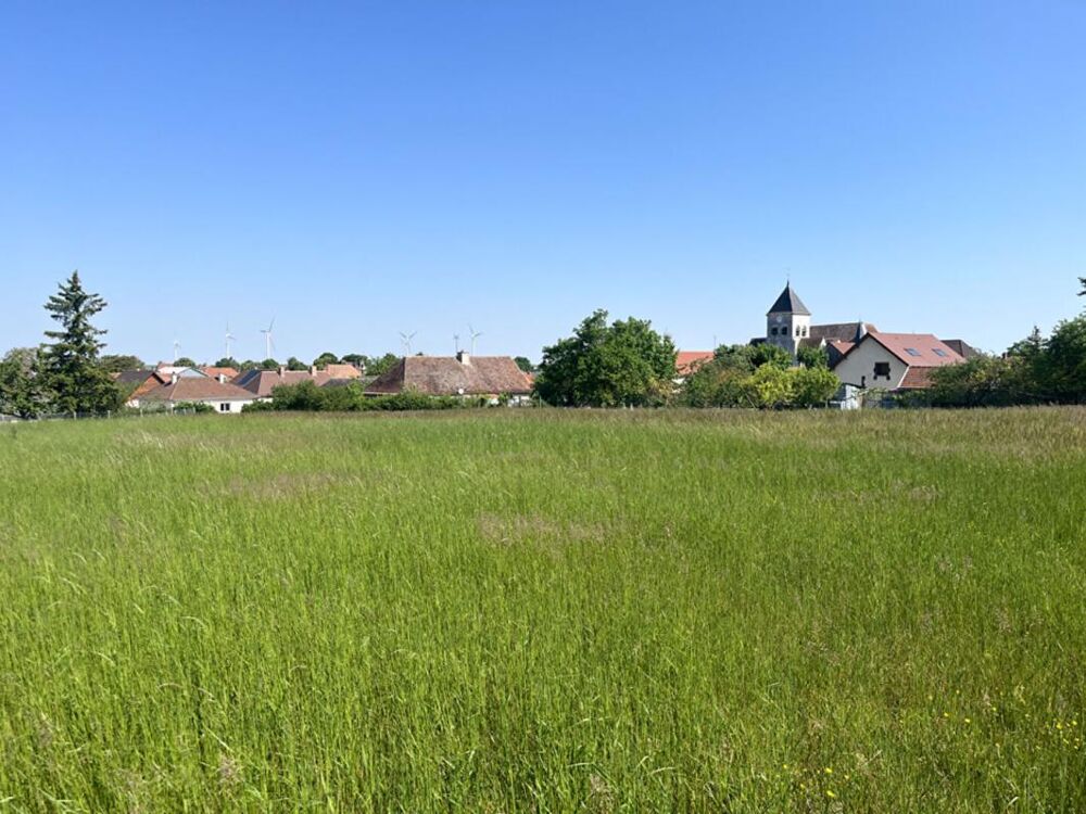 Vente Terrain Terrain constructible pour partie, 7090 m2 Les grandes chapelles