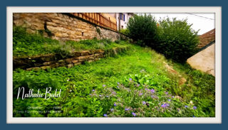  Appartement � vendre 4 pi�ces 98 m�