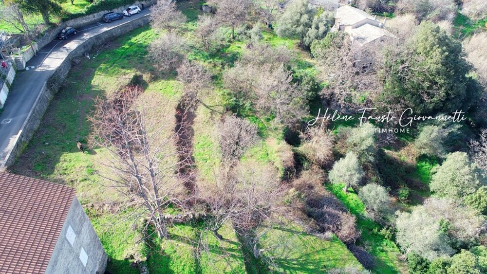 Vente Terrain TERRAIN CONSTRUCTIBLE 1984 m2 à RAPALE Rapale