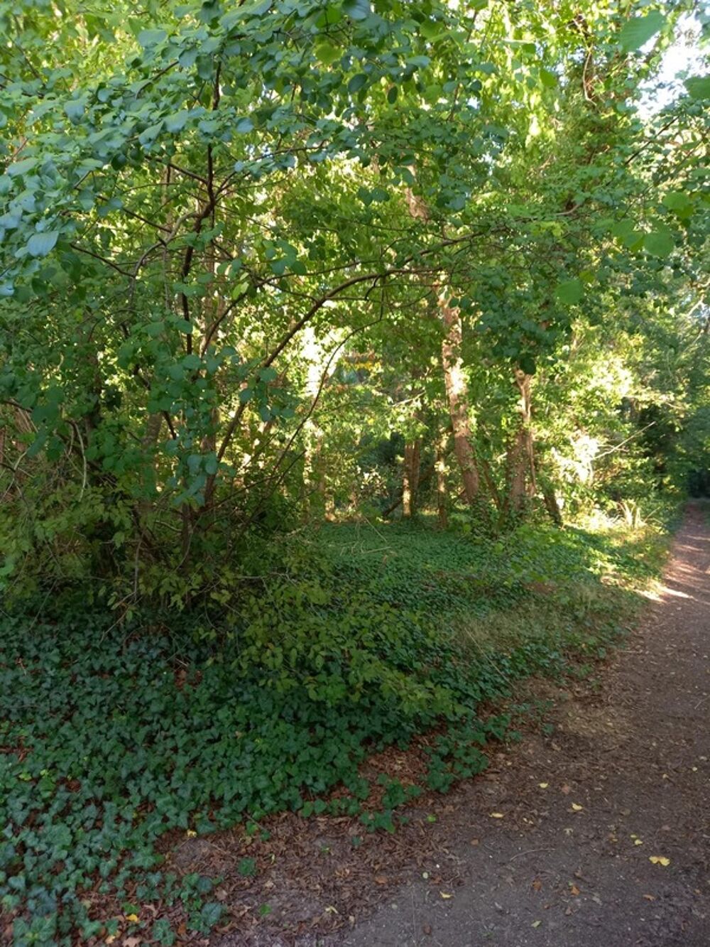 Vente Terrain Terrain � vendre de 2 820,00 m� NEMOURS (77) Nemours