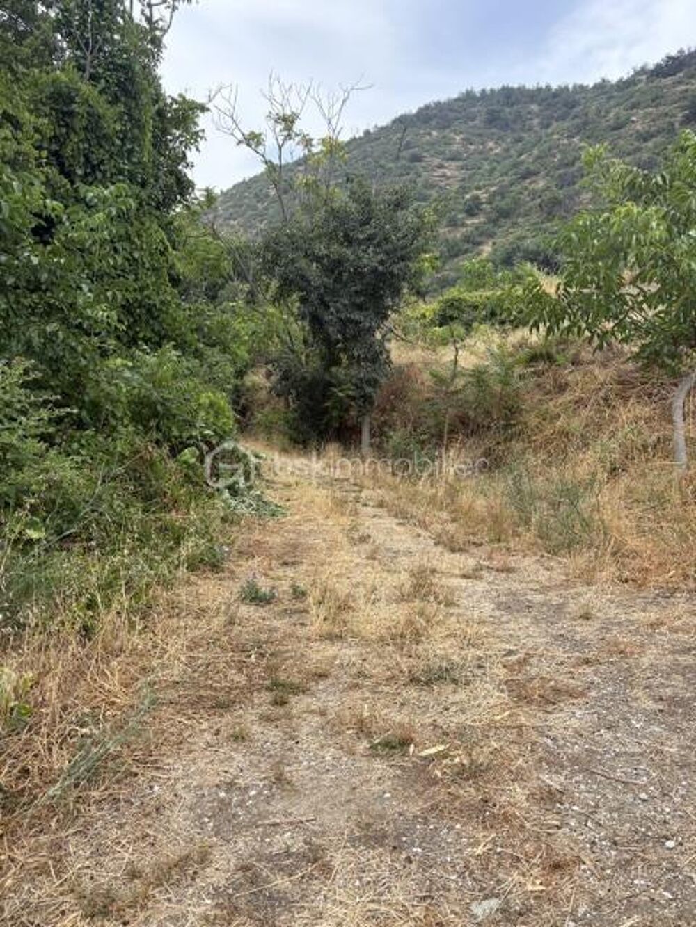 Vente Terrain Terrain 4495 m2 Ria sirach Prades