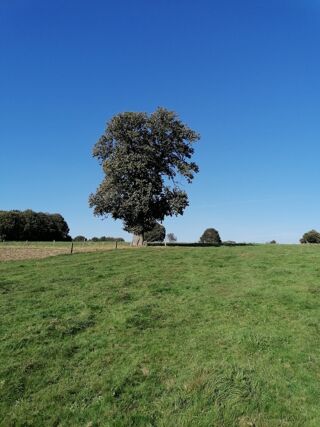  Propri�t�/ch�teau � vendre 1 pi�ce 1 m�