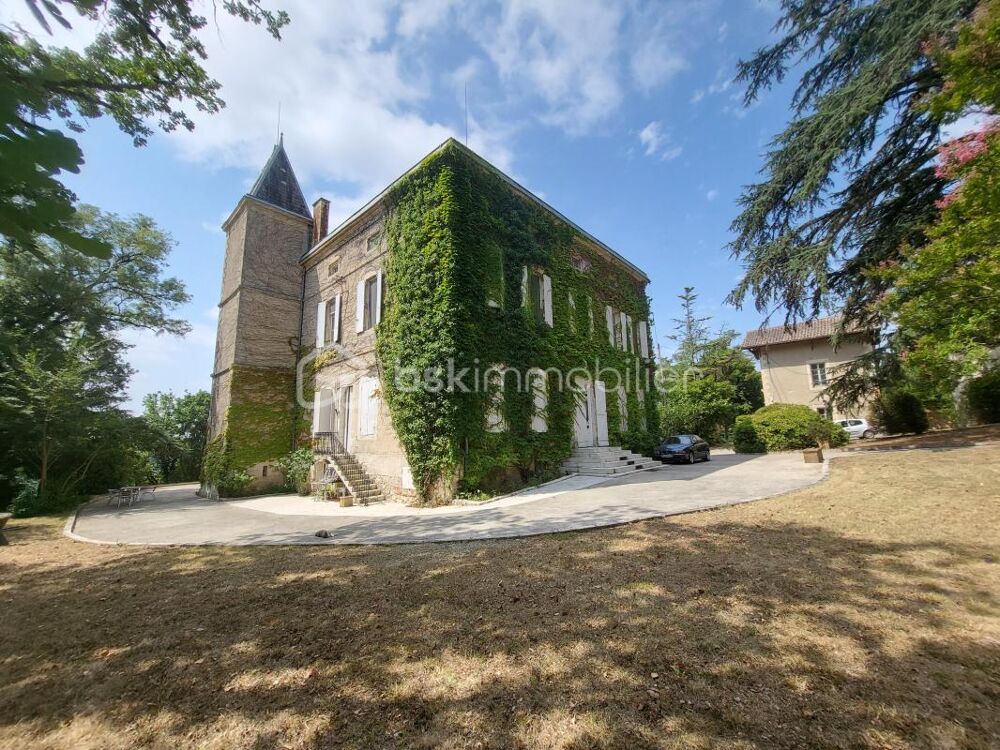 CHATEAU 32 PIECES+DEPENDANCES - PROPRIETE 9 HECTARES- JARDIN