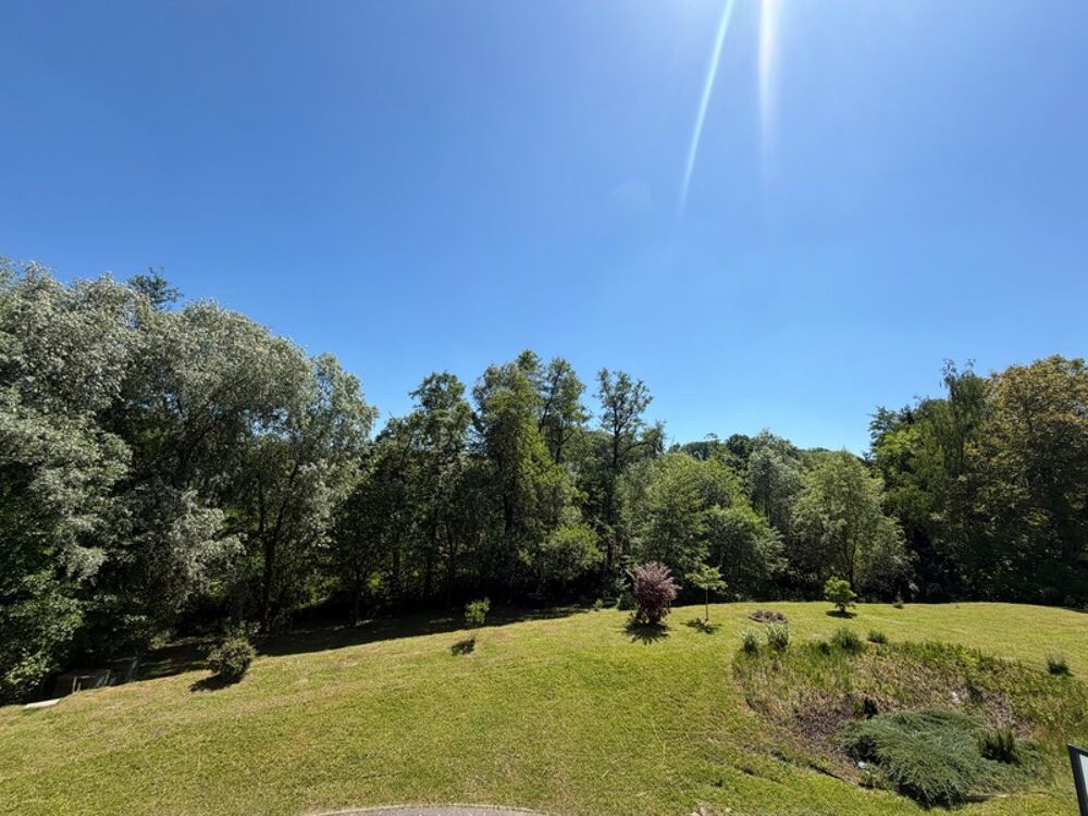Duplex dexception aux portes de la Suisse  Terrasse, jardin, vue forêt  Hagenthal-le-Bas