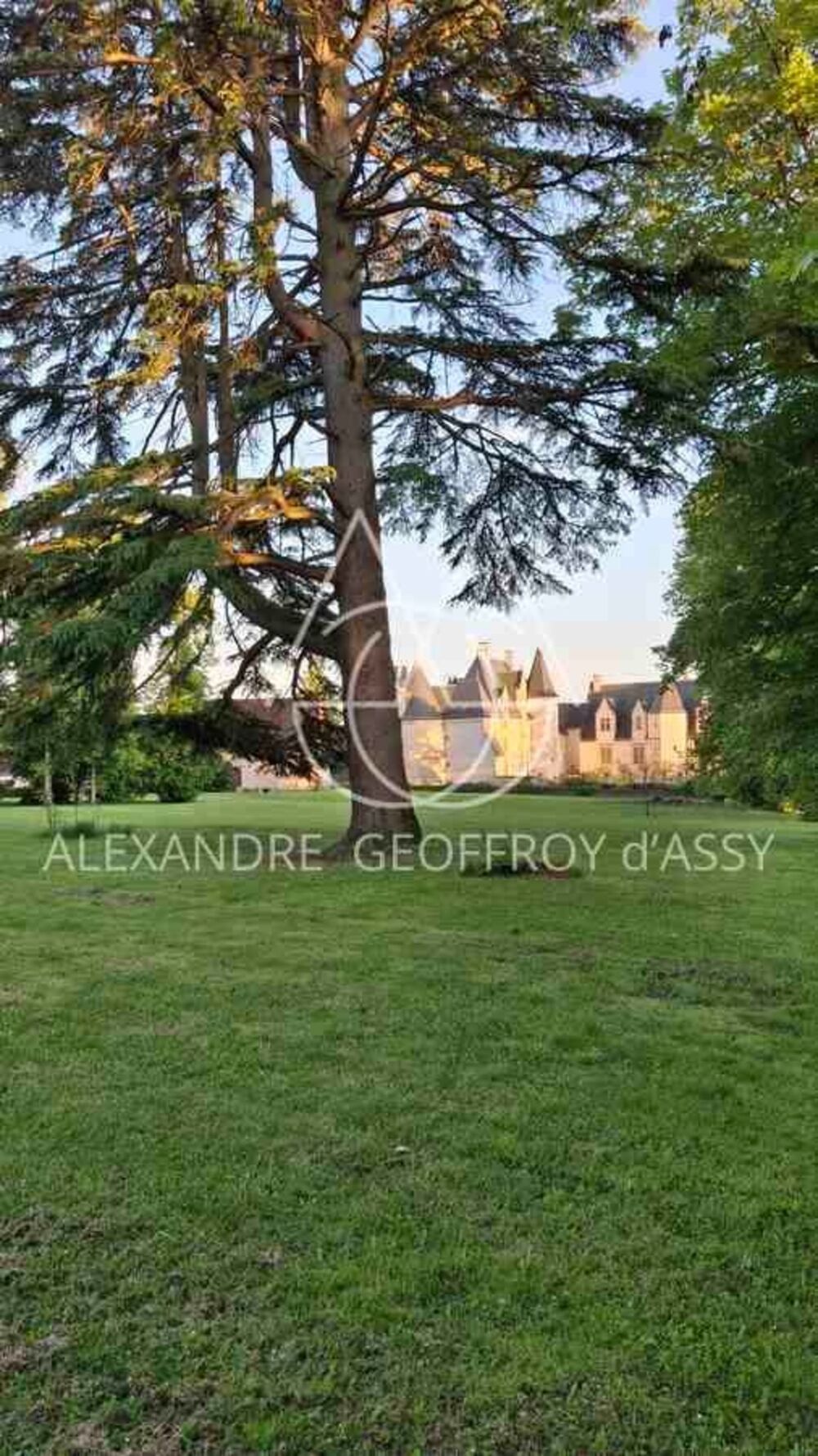 Vente Propriété/Château Château millénaire surplombant un village sur un parc de 15 ha Le blanc