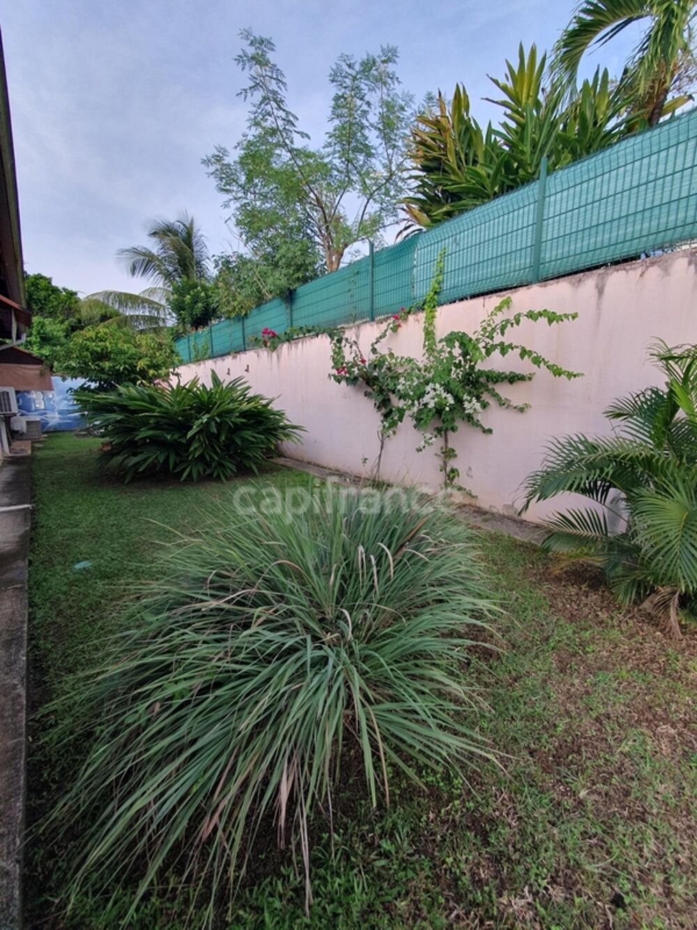 � vendre  Maison Sainte-Luce (97228)