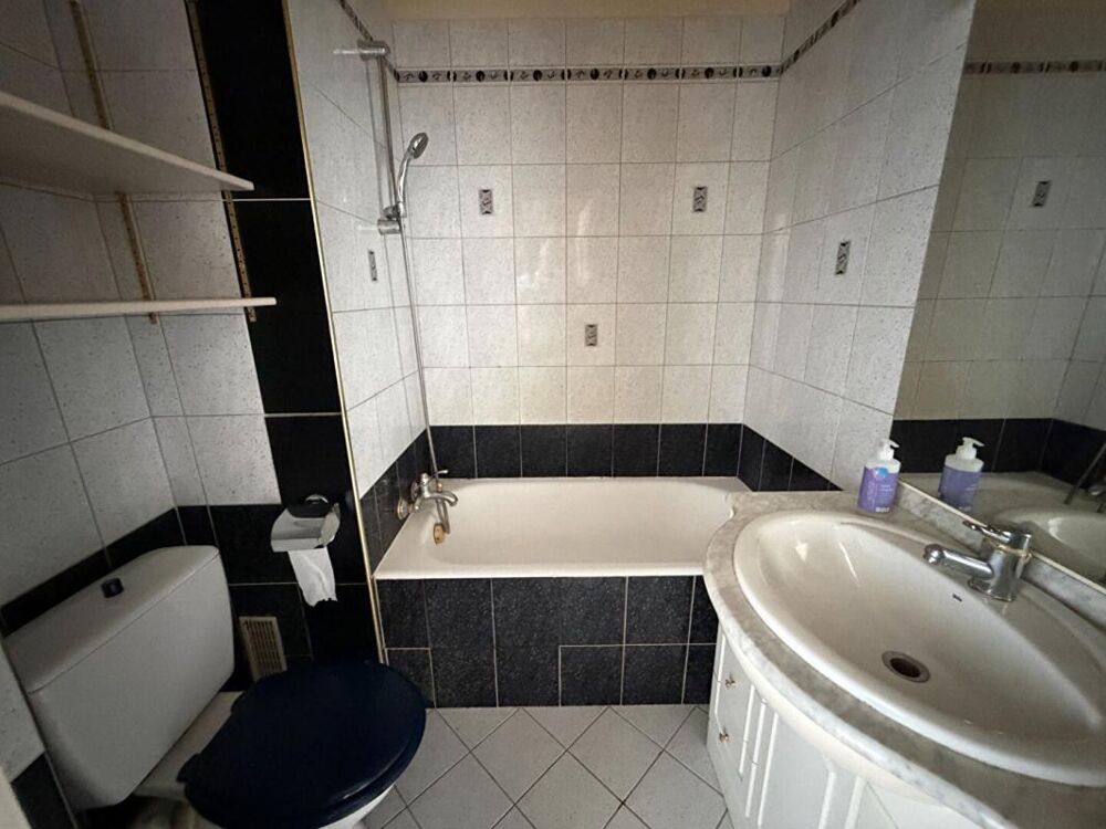 Vente Appartement Studio Métro Vaugirard Paris 15