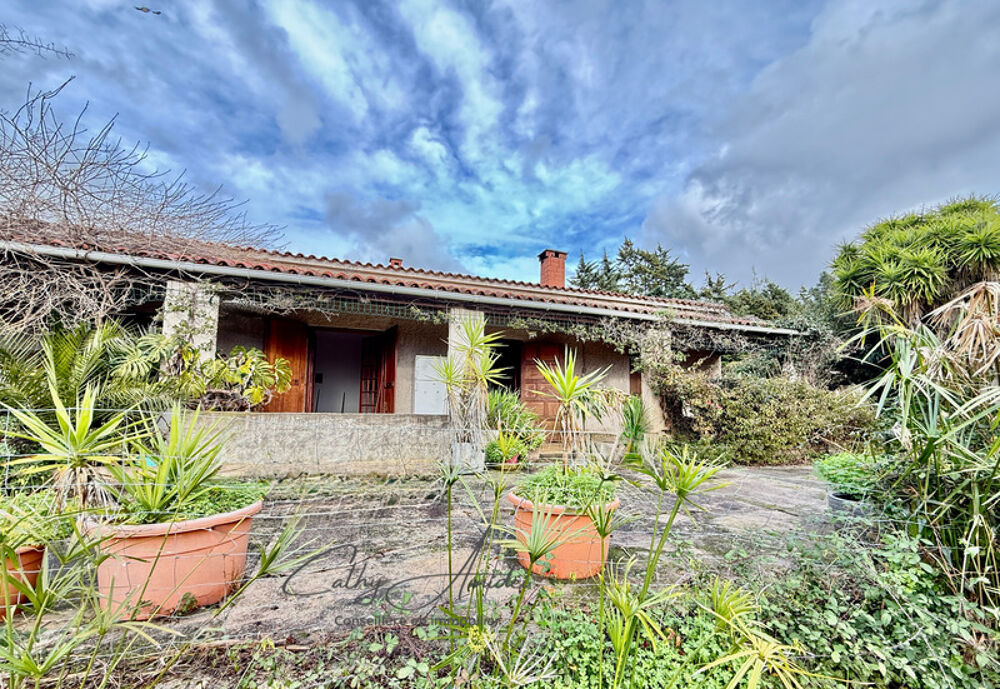 Vente Propriété/Château SAGONE (Corse) : Propriete à vendre, maison T4 + dépendance avec 2 appartements T1, sur terrain plat de 5000m2 Sagone