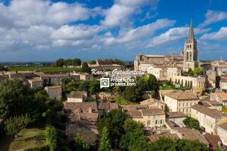  Propriété/château à vendre 13 pièces 700 m²