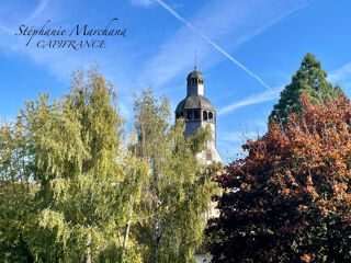  H�tel Particulier � vendre 15 + pi�ces 452 m�