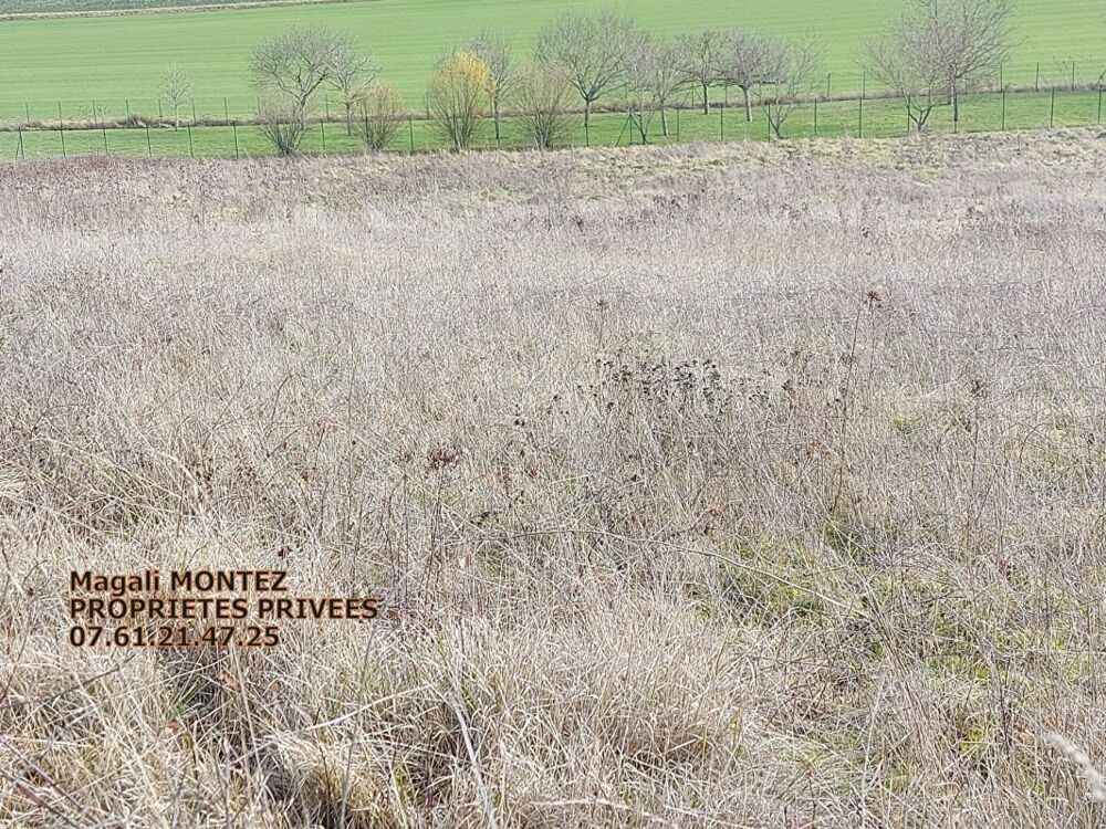 Vente Terrain TERRAIN A BATIR DE 3034 m2 - AIX VILLEMAUR PALIS 10160 Aix en othe