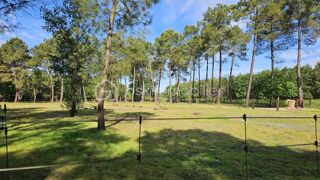  Terrain � vendre 10000 m�