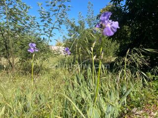  Terrain � vendre 250 m�