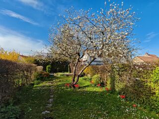  Maison à vendre 5 pièces 100 m²