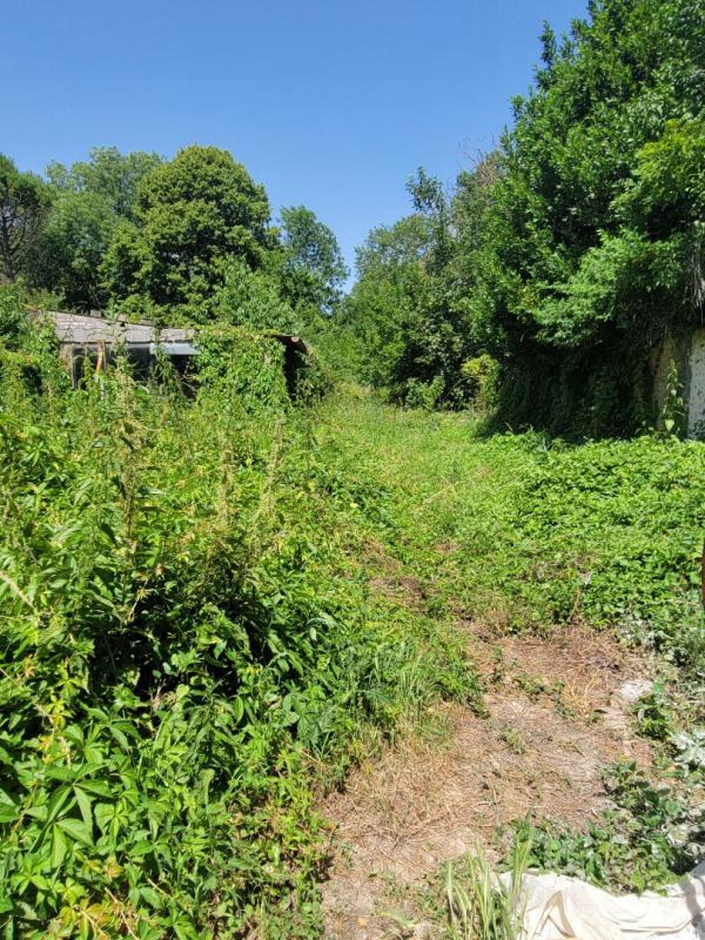 Vente Maison 4 appartements et des dependence a le GUE de longroi Le gue de longroi