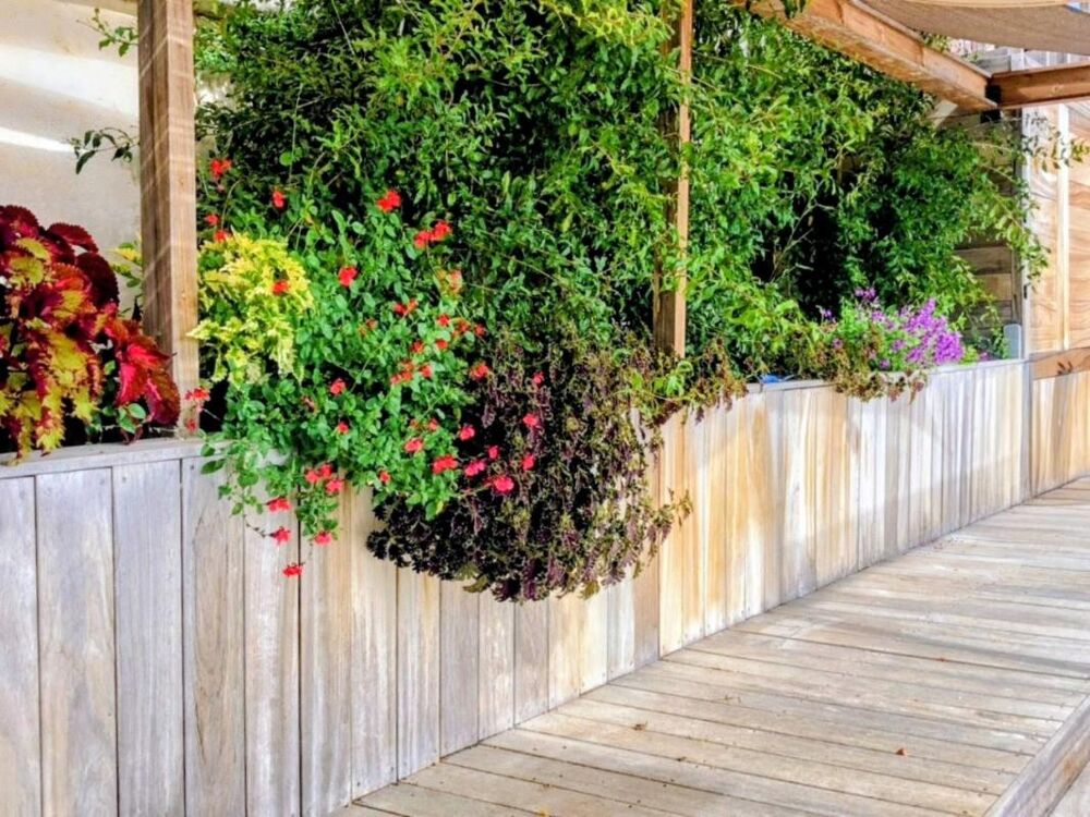 Vente Maison BELLE MAISON DE VILLAGE 7P AVEC JARDIN GARAGE ET PISCINE Clapiers
