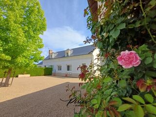  Propriété/château à vendre 13 pièces 250 m²