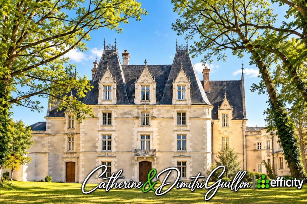à vendre  Propriété/château Vouillé (86190)