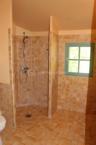  Propri�t�/ch�teau � vendre 12 pi�ces 335 m�