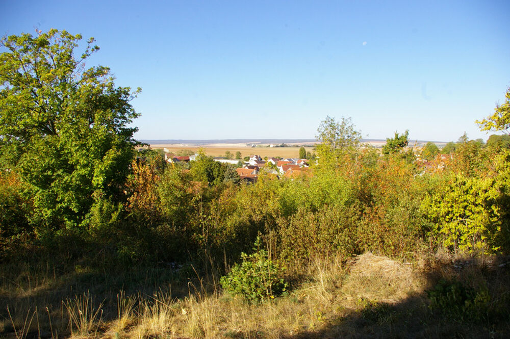 Vente Terrain GEMEAUX Terrain 692m2 Gemeaux