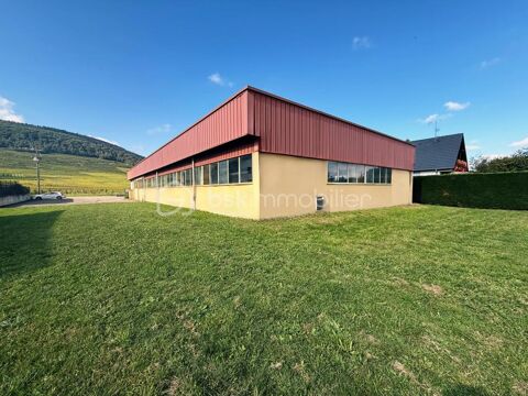 Local commercial de 610 m&sup2; sur 23,54 ares terrain constructible 480000 68500 Bergholtz
