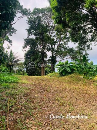  Terrain  vendre 738 m