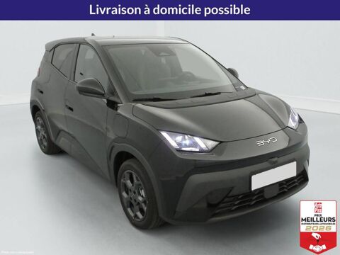 Dolphin SURF 43.2 kWh 156 ch Comfort 2025 occasion 10150 Lavau