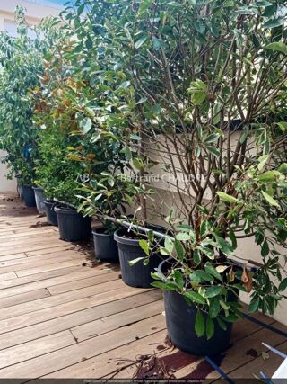  Loft � vendre 6 pi�ces 200 m�