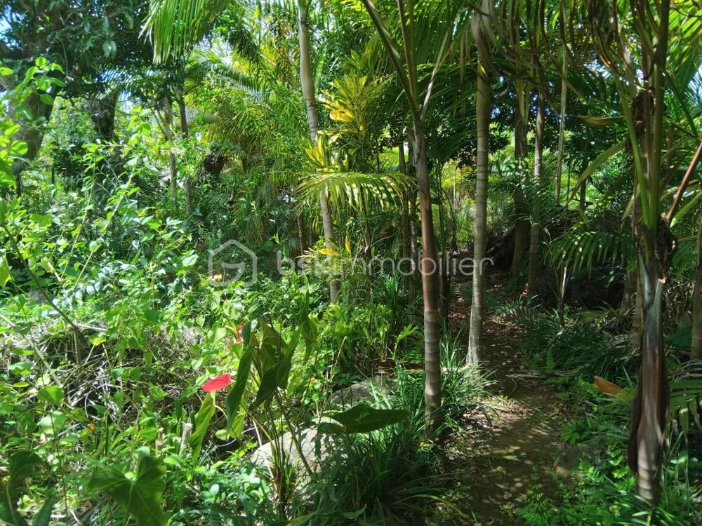 � vendre  Villa Entre-Deux (97414)