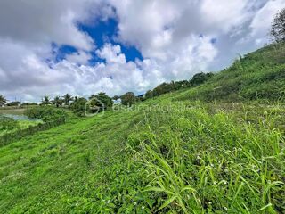  Terrain � vendre 1103 m�