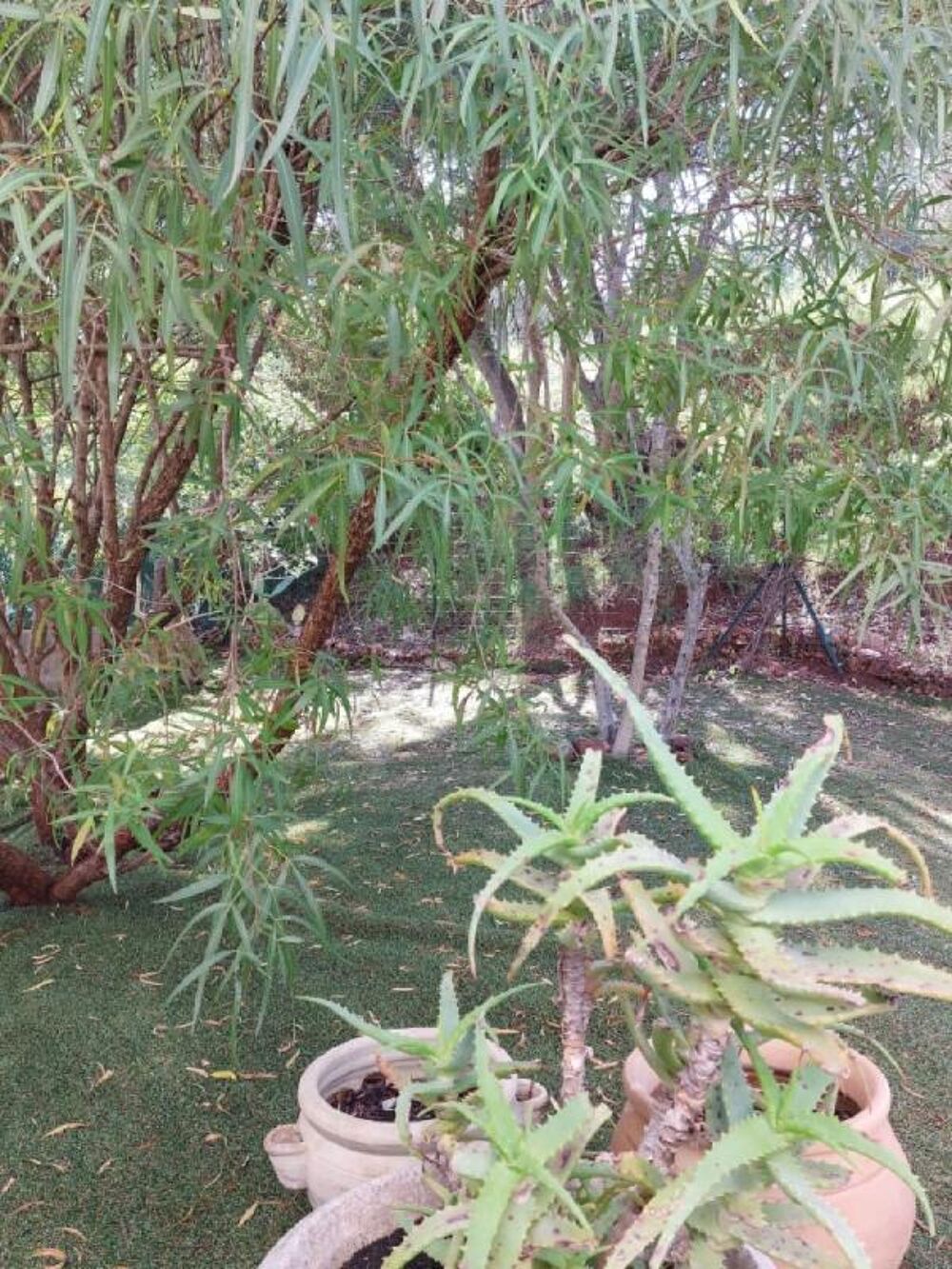 � vendre  Villa Le Luc (83340)