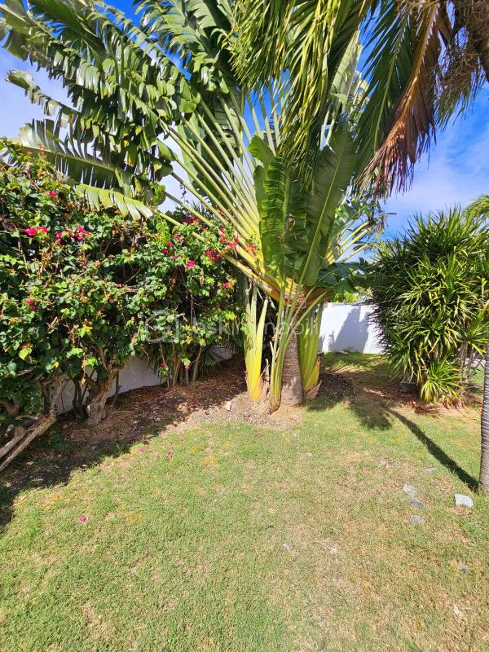 � vendre  Propri�t�/ch�teau Saint-Fran�ois (97118)