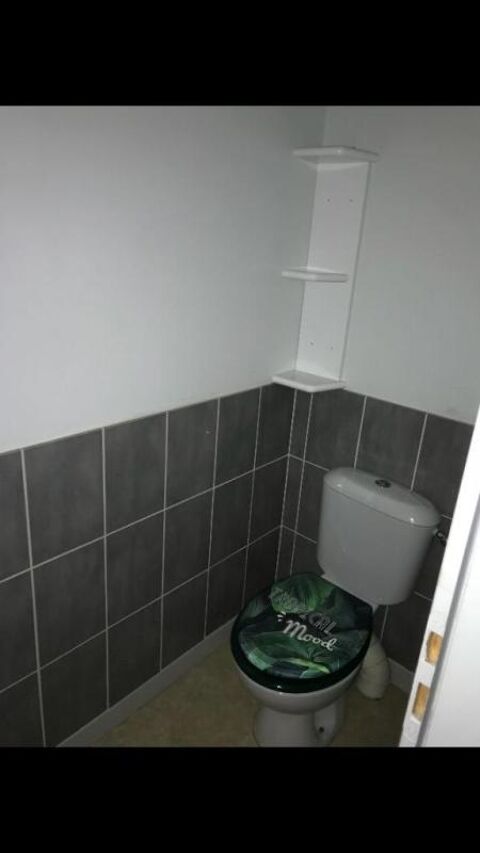  Appartement � louer 3 pi�ces 55 m�