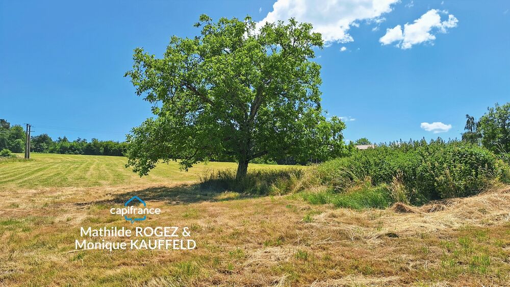 Vente Maison Maison à rénover avec grange en pierre, source et 7 000 m² de terrain - Saint Gervais Sous Meymont (63) Saint gervais sous meymont