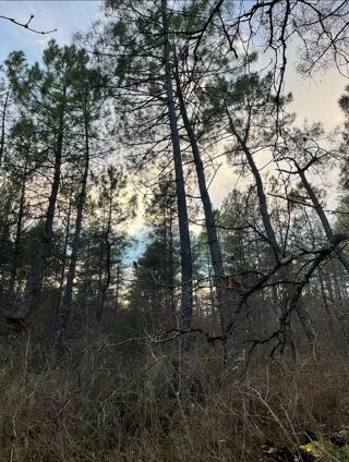  Terrain � vendre 8459 m�