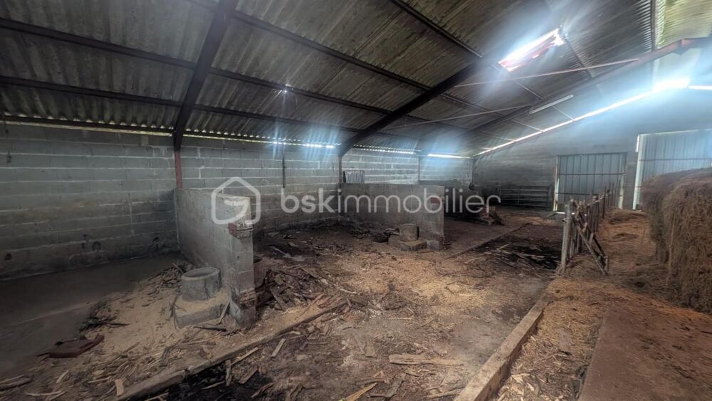 Hangar agricole 490 m² bétonné avec parking  Le Busseau (79)