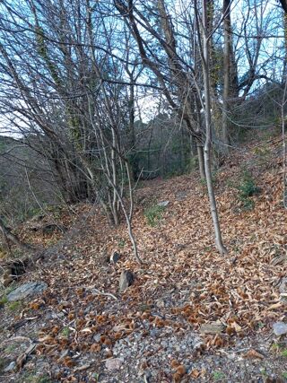  Terrain � vendre 6393 m�