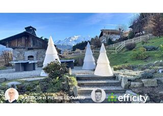  Chalet � vendre 14 pi�ces 435 m�