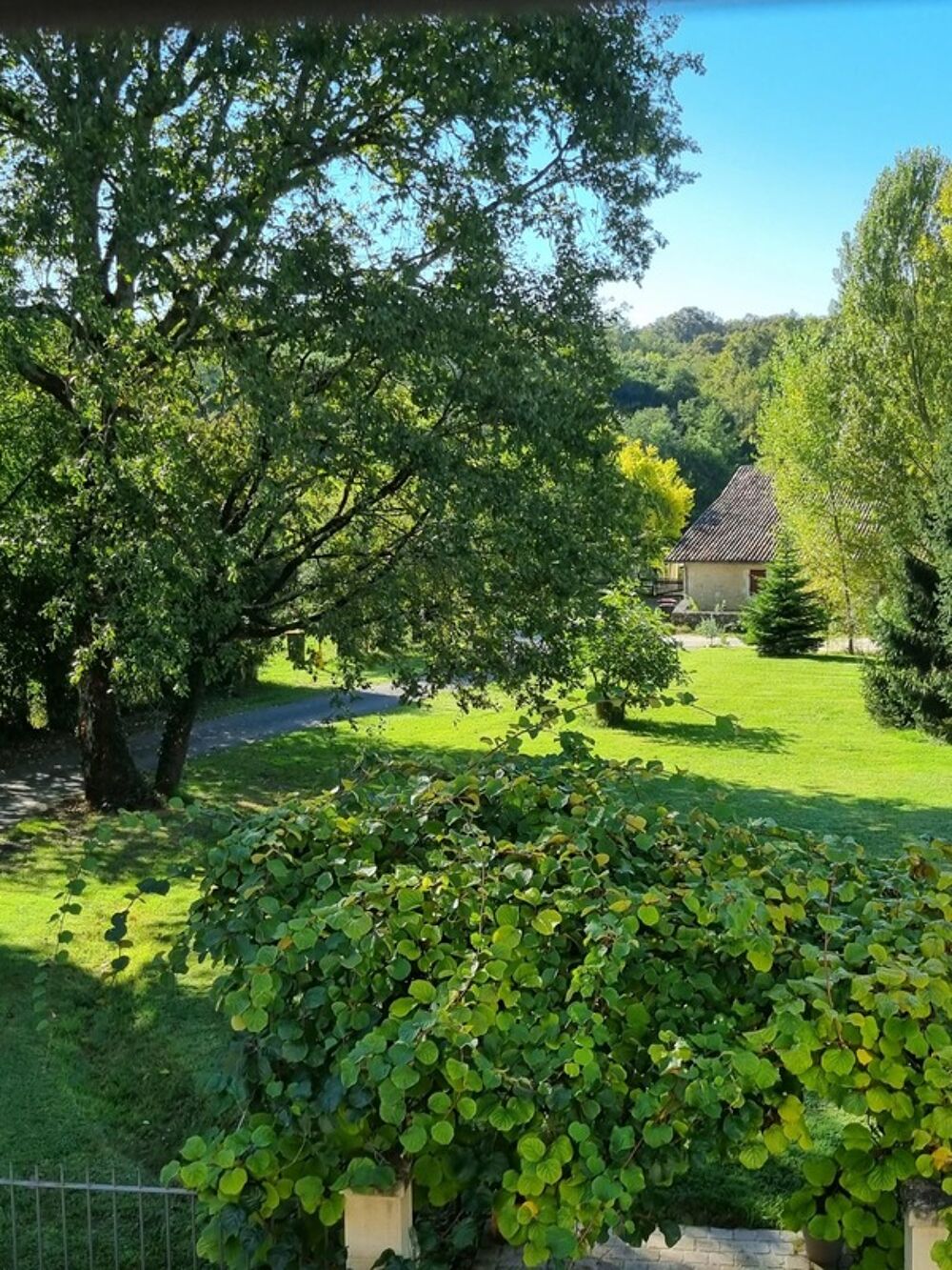 Propriété de charme avec vue panoramique sur la forêt 170m2, dépendance avec studio et grange, SALLEBOEUF