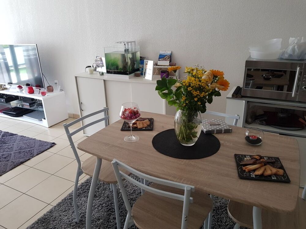 Location Appartement Appartement de 55m2 à louer sur Lyon 08 Lyon 8