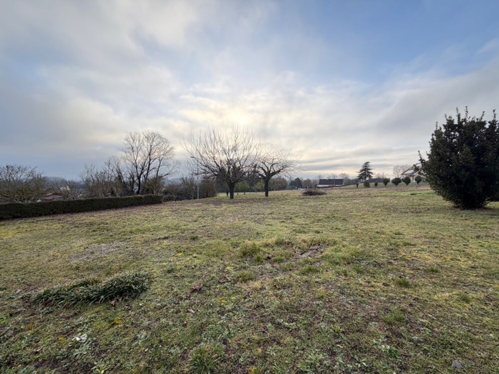 Vente Terrain Terrain de plus de 7 200 m² avec près de 4 800 m² exploitables – Rare sur le secteur ! Aubigne racan