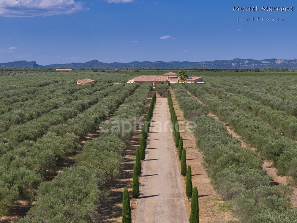 Vente Propriété/Château Propriété d'exception de 290 m2 au cœur de la Vallée des Baux-de-Provence sur 25 hectares 7 pièces MOULES (13) Moules
