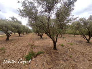  Terrain � vendre 7000 m�